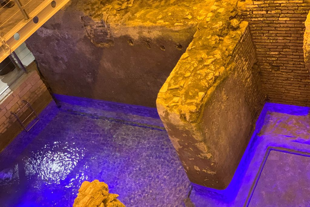 Trevi Fountain Rome: Underground Domus Guided Tour