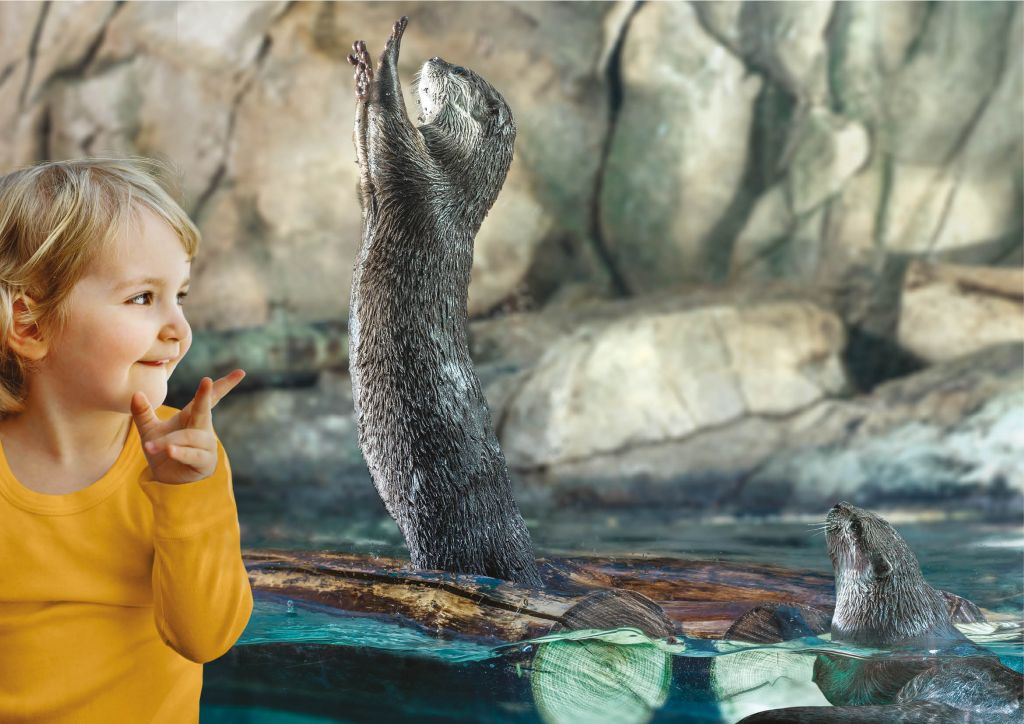 Acuario de Cattolica: Entrada de acceso rápido