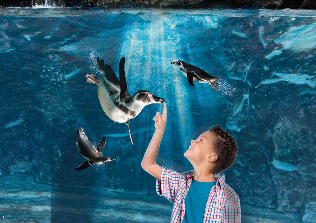 Acuario de Cattolica: Entrada de acceso rápido