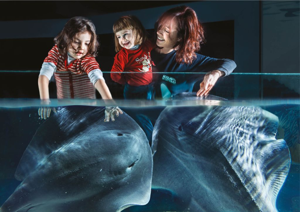 Acuario de Cattolica: Entrada de acceso rápido