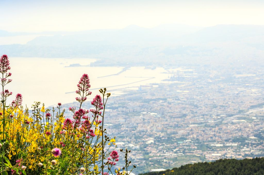 Vesuvius & Pompei: Skip The Line Ticket + Audioguide + Roundtrip From Naples