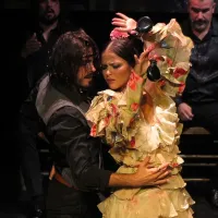 Teatro Flamenco Triana 