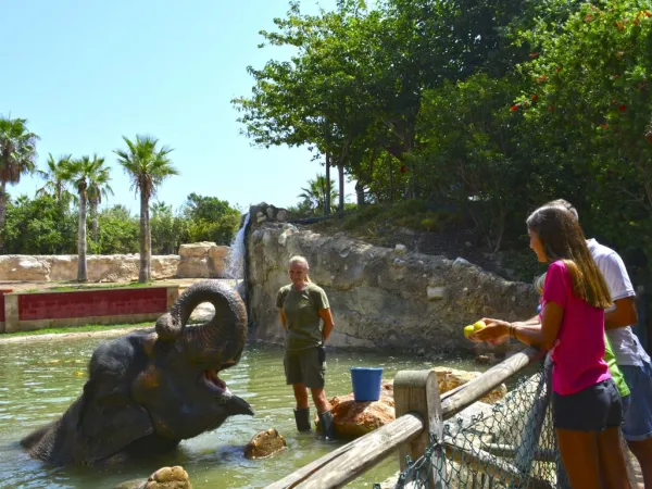 Terra Natura Benidorm