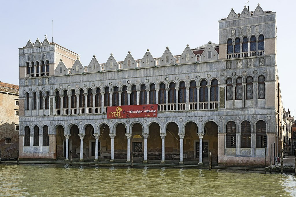 Museu de História Natural de Veneza: Bilhete de entrada