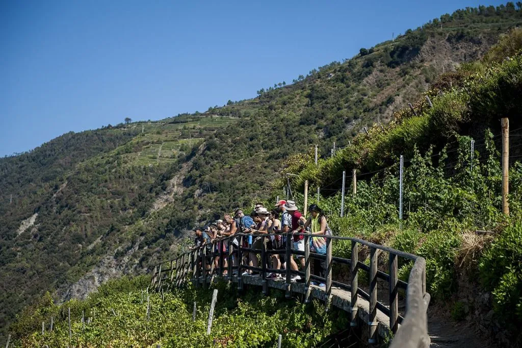 Cinque Terre: Gita di un giorno da Firenze + Tour in barca + Escursione facoltativa