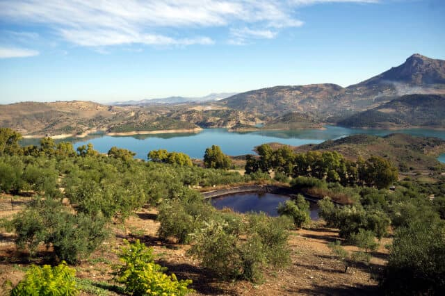 White Villages and Ronda Tour from Seville