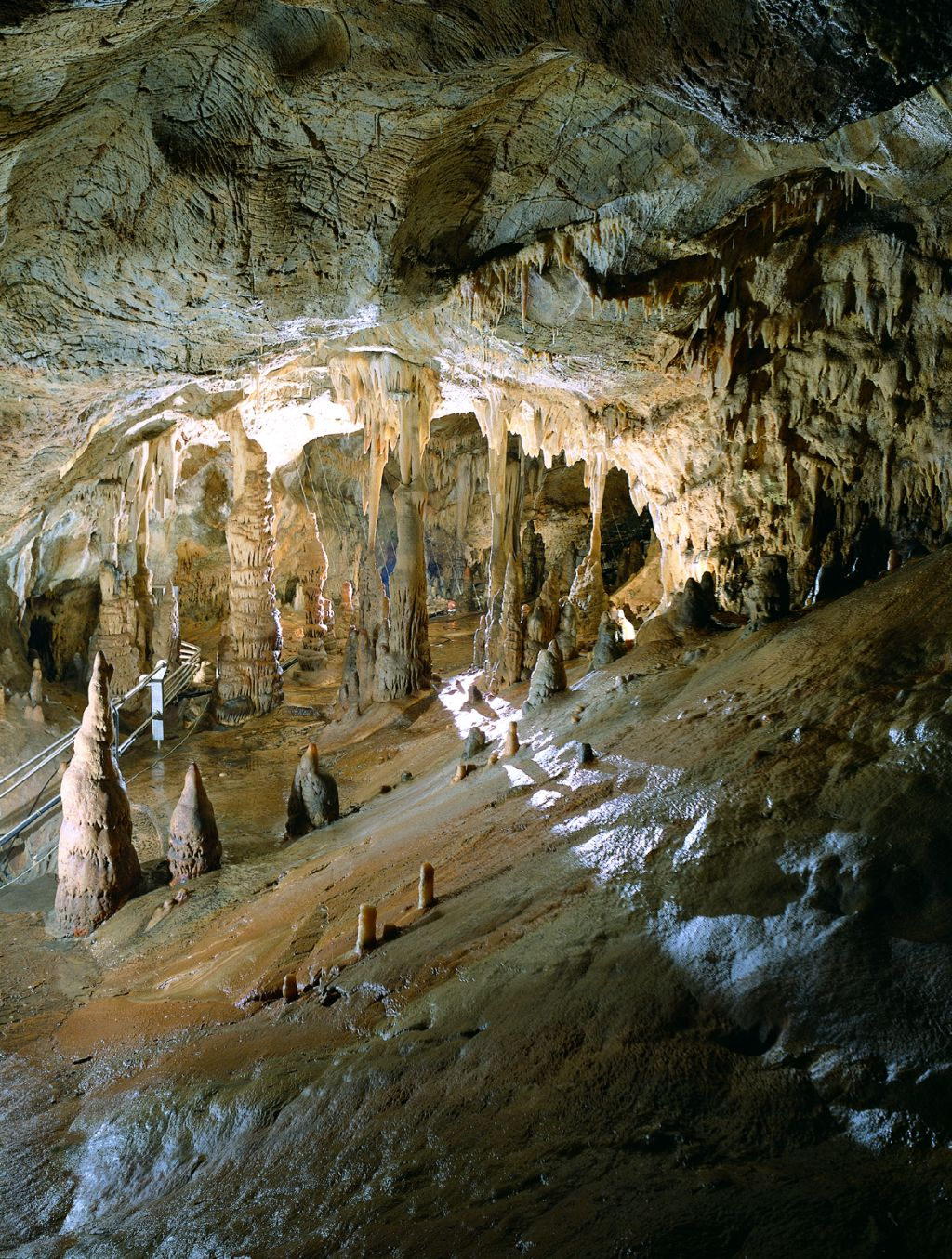 Grotte di Toirano: Biglietto con accesso rapido