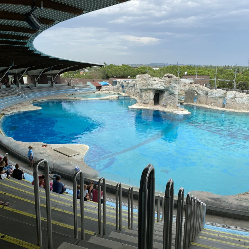 Parque temático Oltremare: Entrada