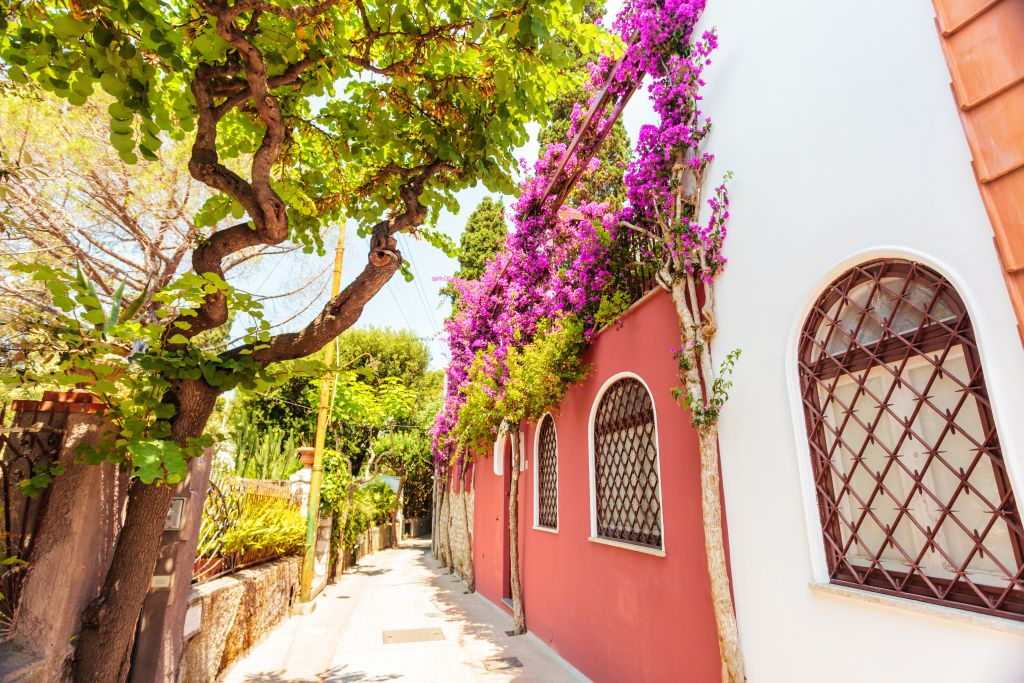Capri Island Tour from Sorrento