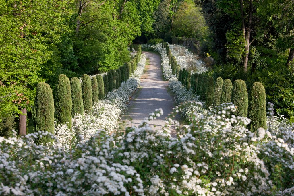 Castello di Masino: Biglietto d'ingresso