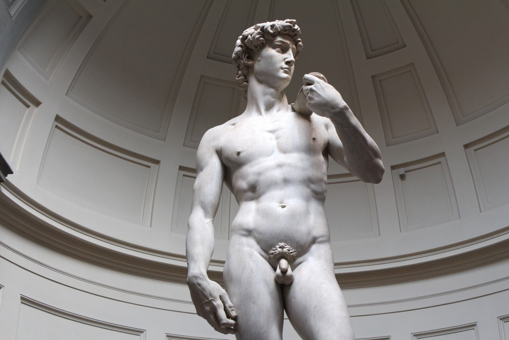 Galleria dell'Accademia: Tour guidato