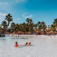 Caribe Bay: Entry Ticket