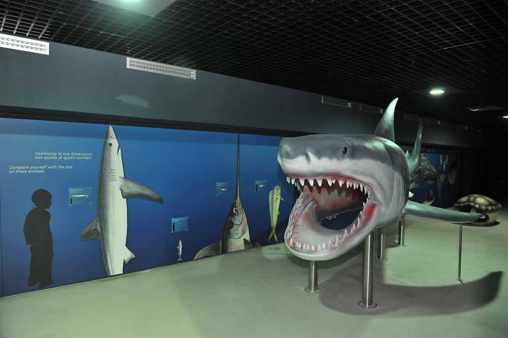 Aquário de Livorno: Bilhete de entrada