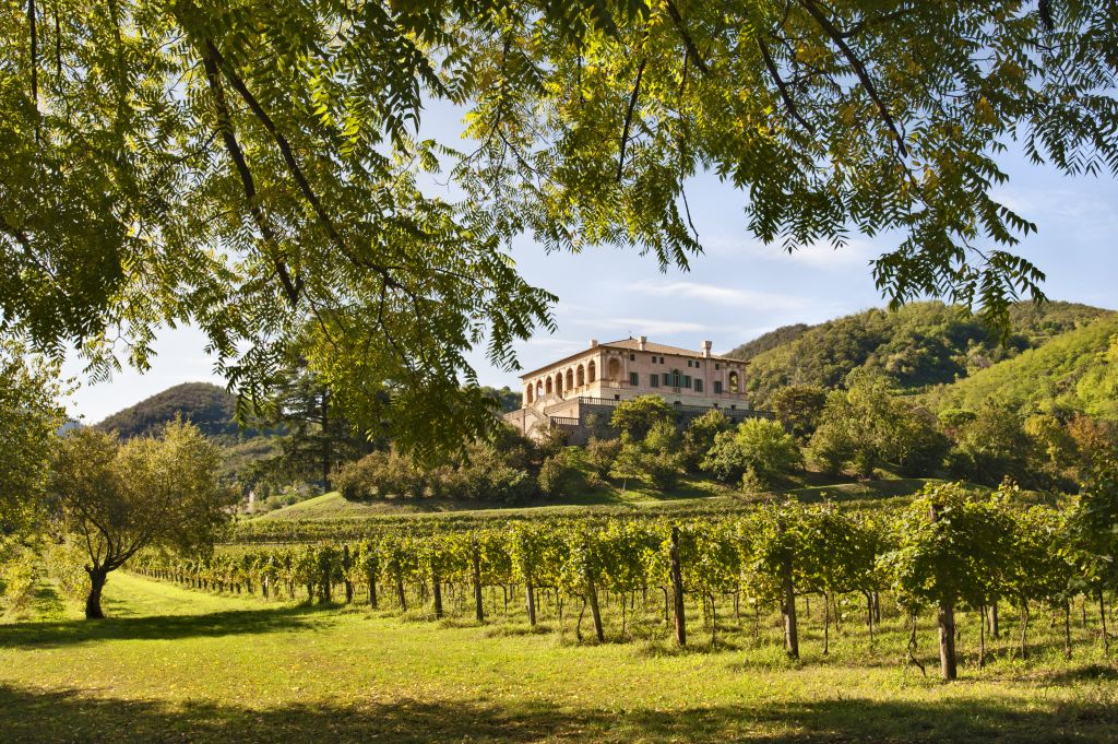 Villa dei Vescovi: Entry Ticket