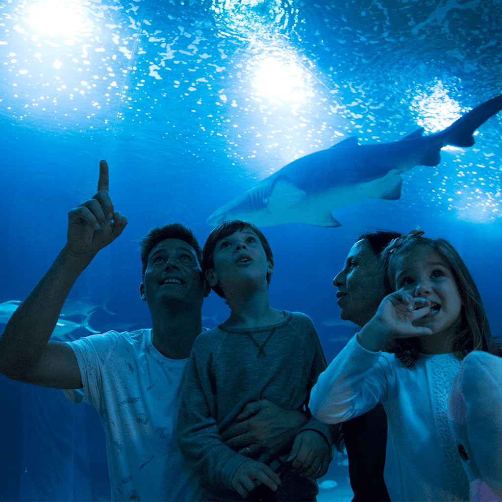 Oceanogràfico