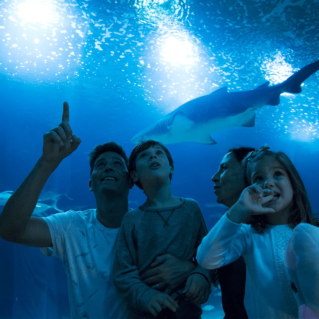Oceanogràfic