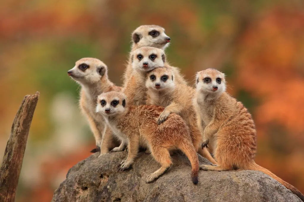 Terra Natura Murcia