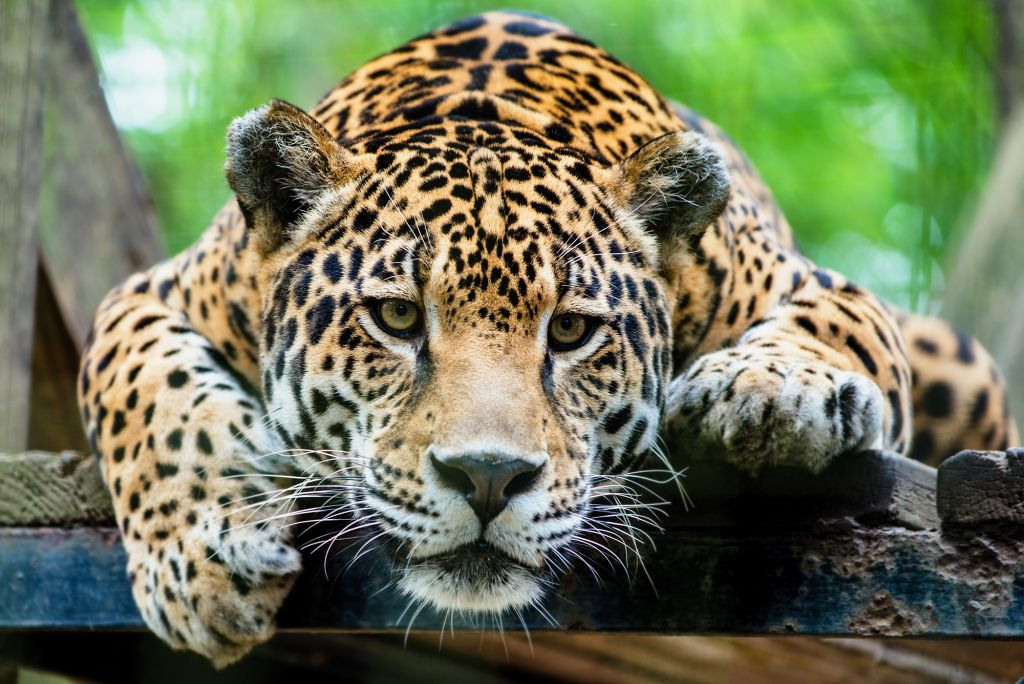 Terra Natura Múrcia