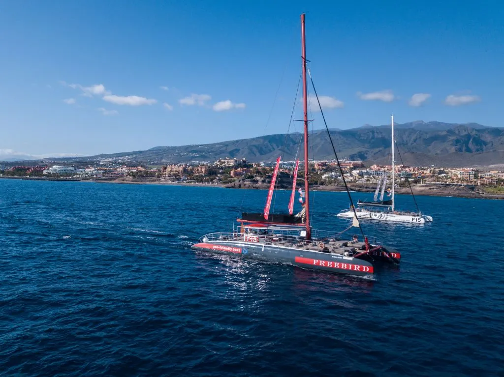 Freebird Catamarán en Tenerife