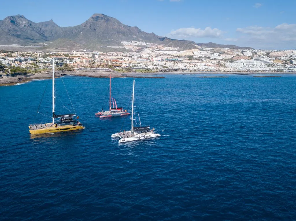 Freebird Catamarán en Tenerife