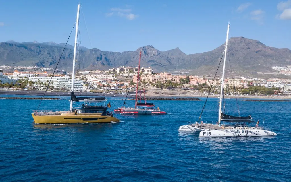 Freebird Catamarán en Tenerife