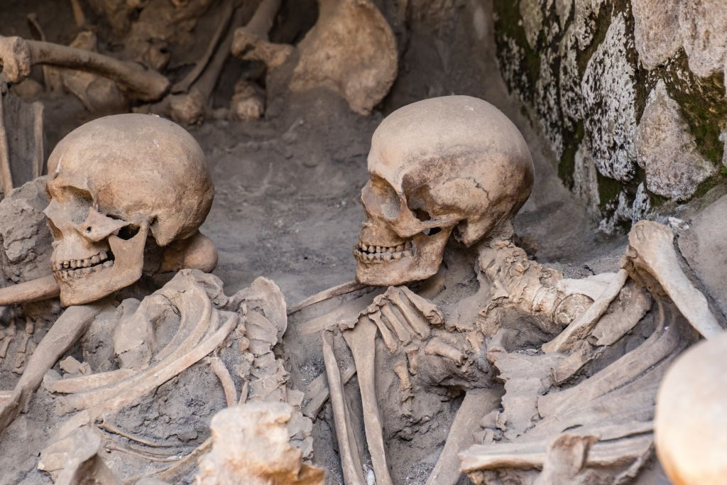 Pompeii & Herculaneum: Guided Tour and Skip the Line