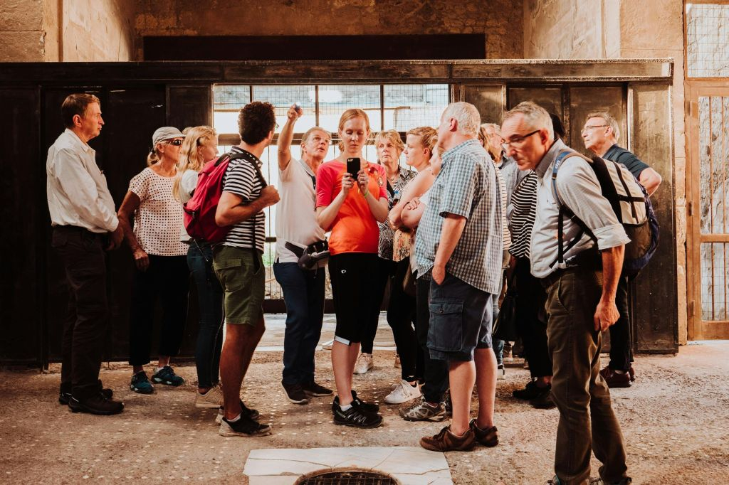 Pompeii & Herculaneum: Guided Tour and Skip the Line