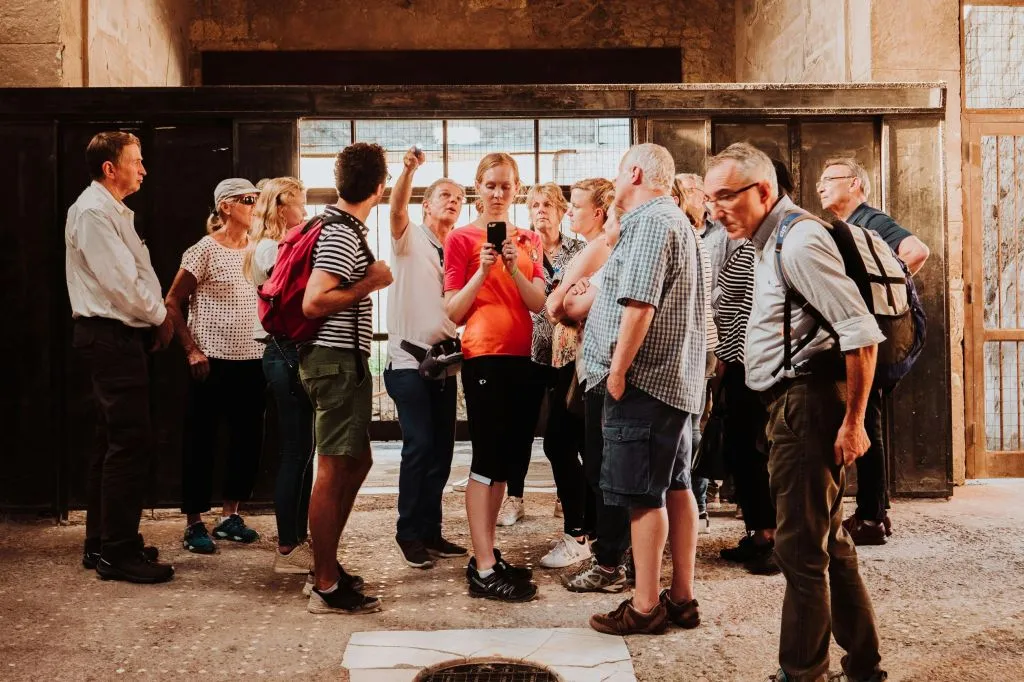 Pompeii & Herculaneum: Guided Tour and Skip the Line
