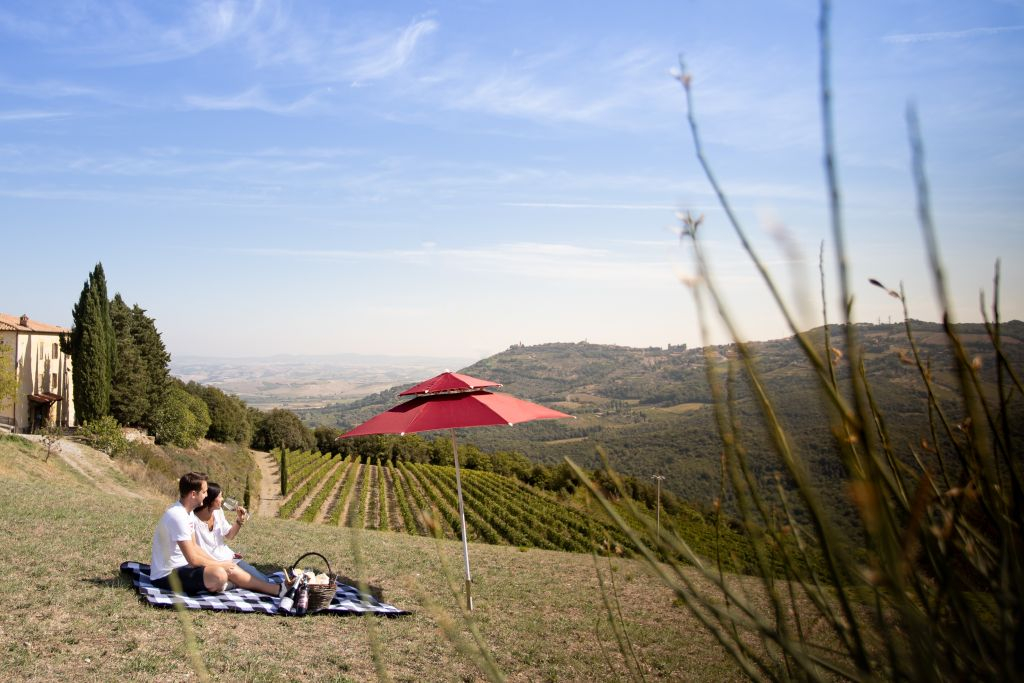 Azienda vinicola Corte Pavone: Picnic con vino e cibo + visita guidata al vigneto
