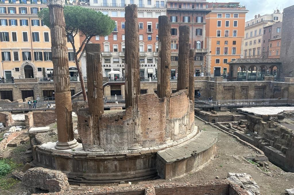 Zona arqueológica Largo Argentina: Entrada sin colas