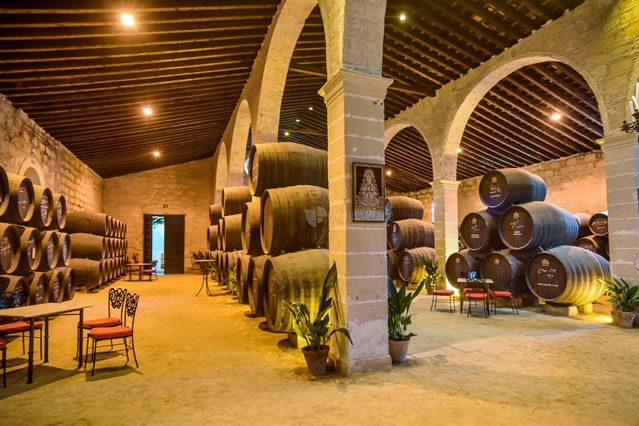 Visita una Bodega de Jerez 