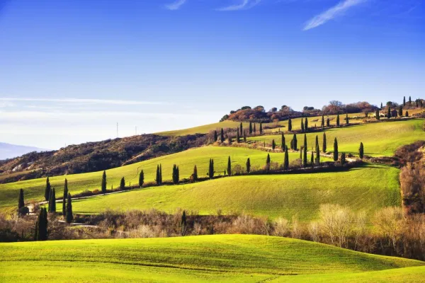 Val d'Orcia, Montepulciano et Pienza : Excursion d'une journée depuis Florence