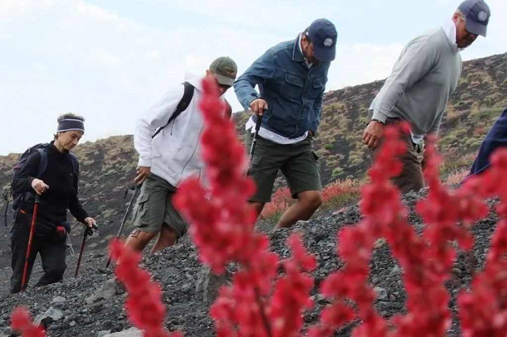 Escursione sull'Etna - Trasporto da Catania