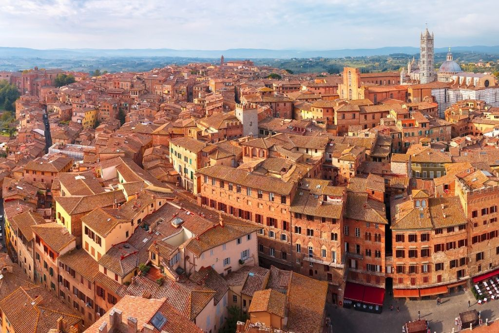 Pisa, San Gimigniano, and Siena: Day Trip from Florence with Lunch and Tasting