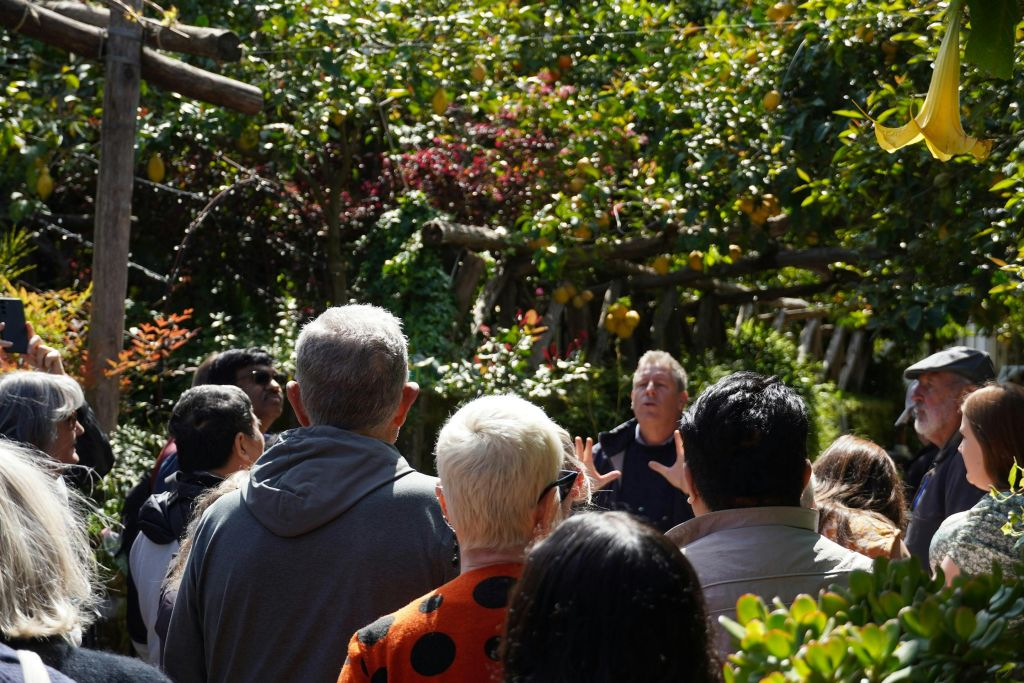 Pompeii: Skip The Line Entrance & Guided Tour + Lunch + Day Trip From Rome