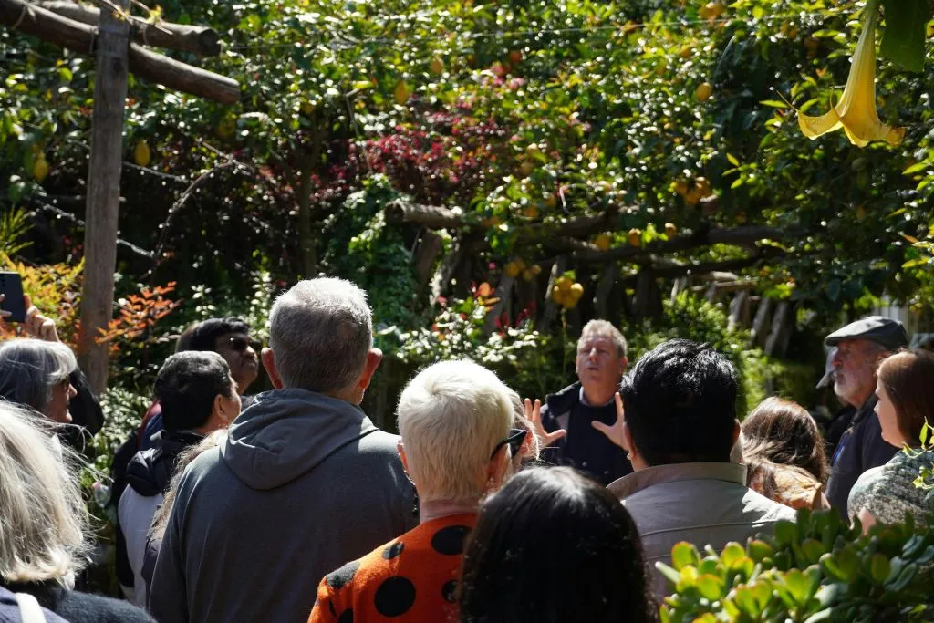 Pompeii: Skip The Line Entrance & Guided Tour + Lunch + Day Trip From Rome
