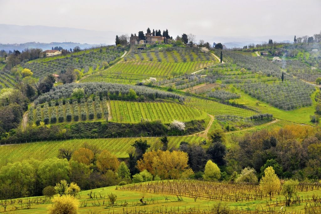 Siena, San Gimignano & Colle Alta: Day Trip from Florence + Wine Tasting