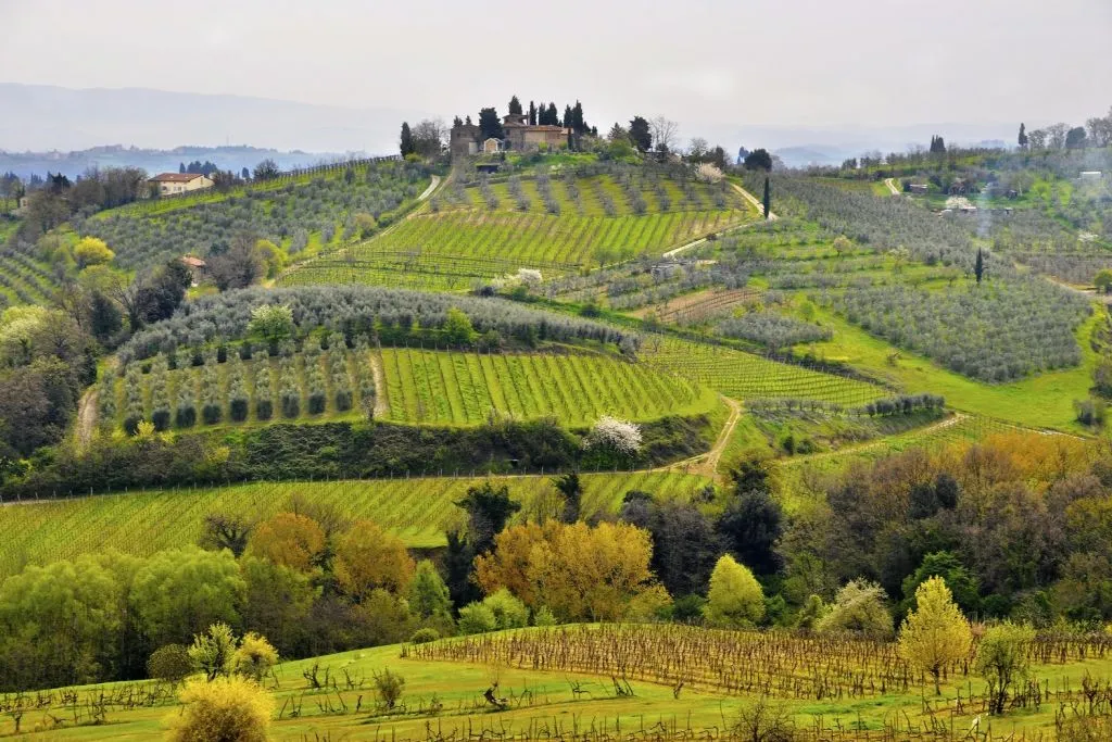 Siena, San Gimignano & Colle Alta: Day Trip from Florence + Wine Tasting