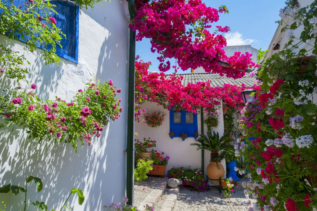 Guided Tours in Cordoba