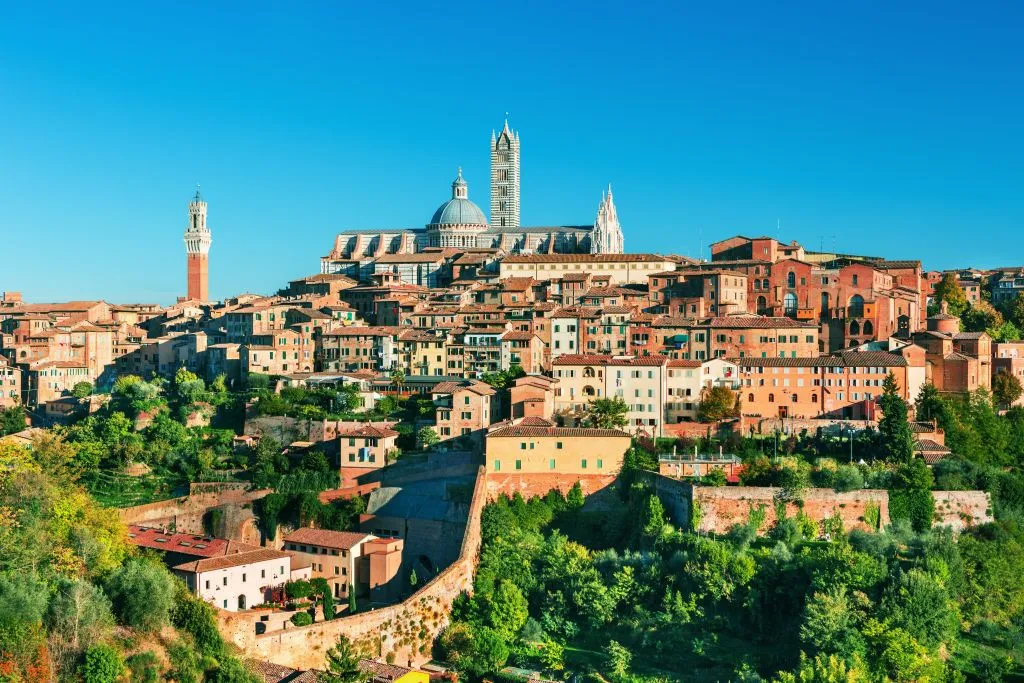 Florence City Card: Museums & Churches Pass