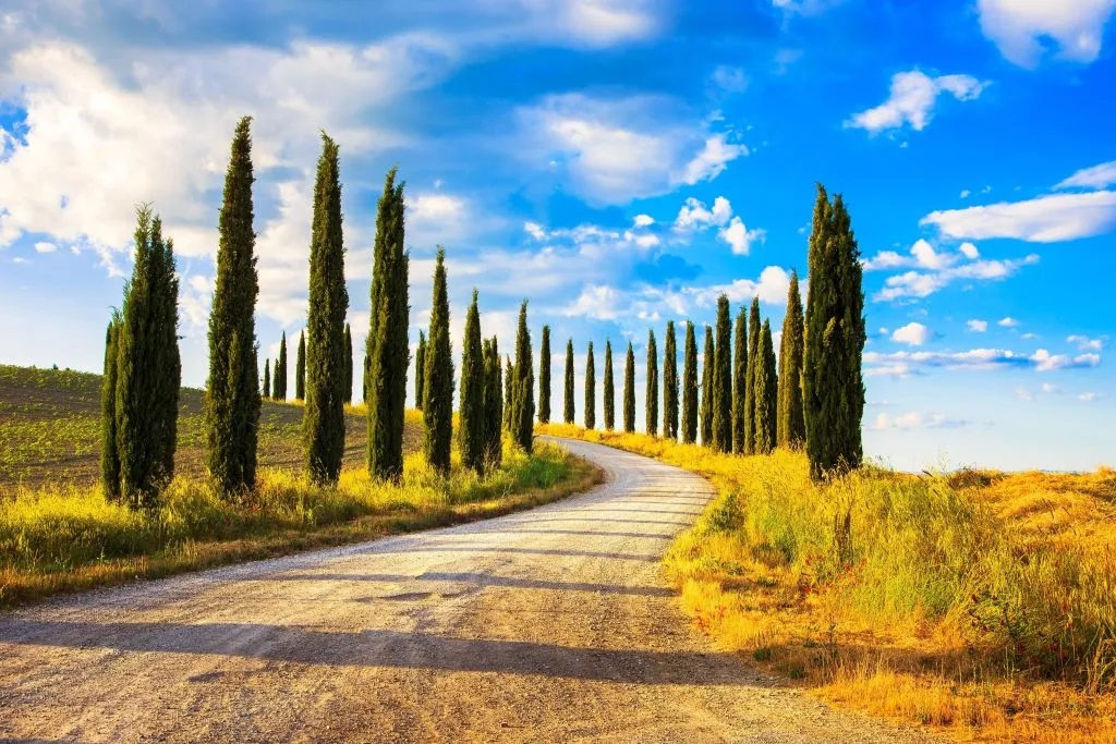 Florence City Card: Museums & Churches Pass