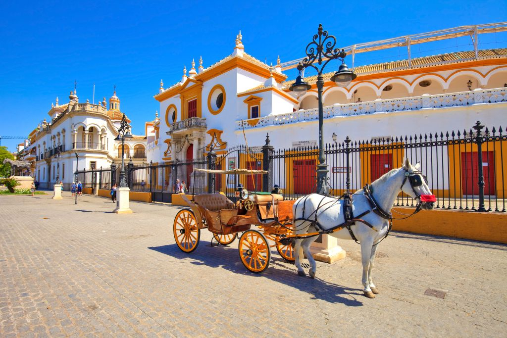 Visitas Guiadas en Sevilla