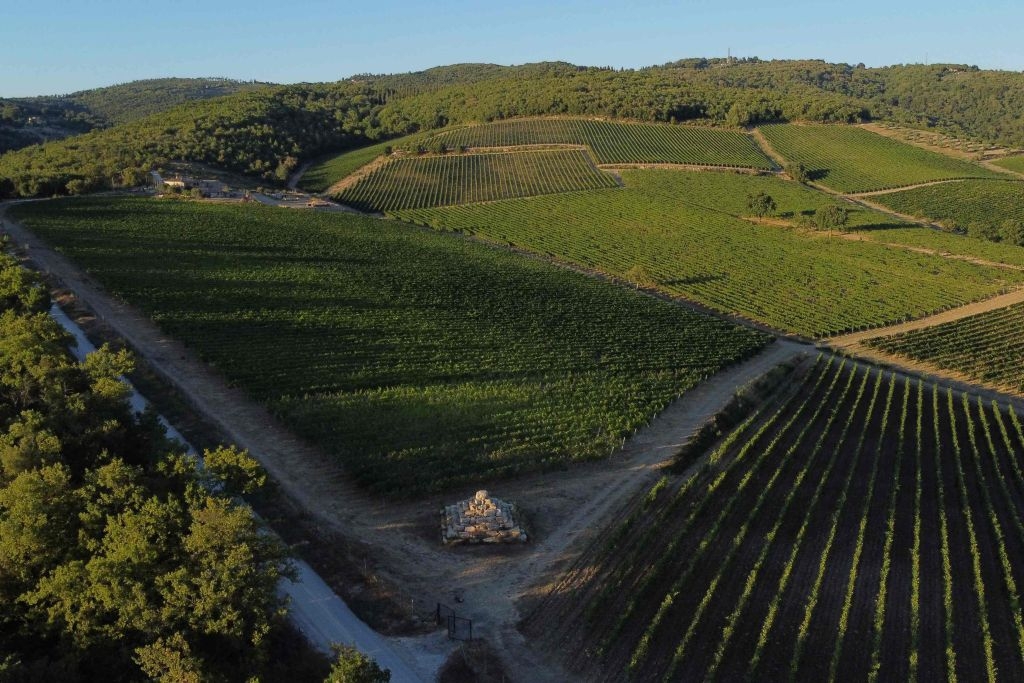 Siena: VIP Wine, Oil and Food Tasting at Tuscany Vineyard