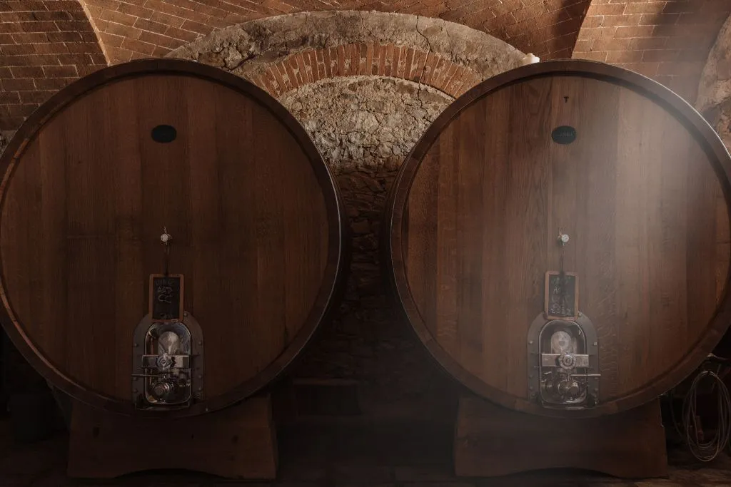 Siena: VIP Wine, Oil and Food Tasting at Tuscany Vineyard