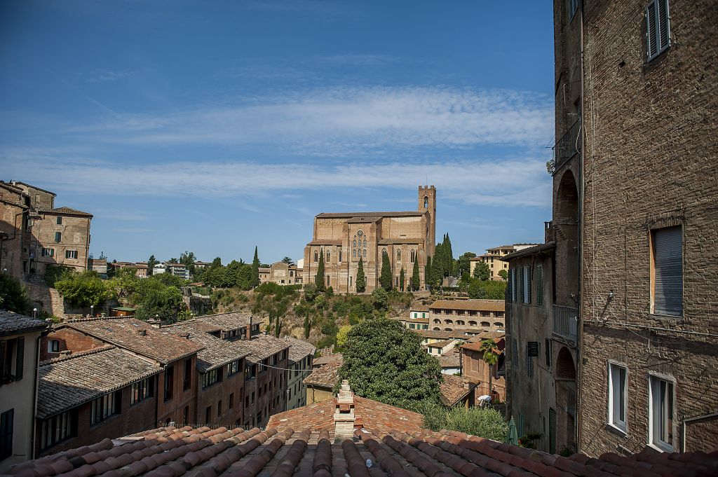 Pisa, San Gimignano & Siena: Day Trip from Florence + Siena City Tour + Lunch