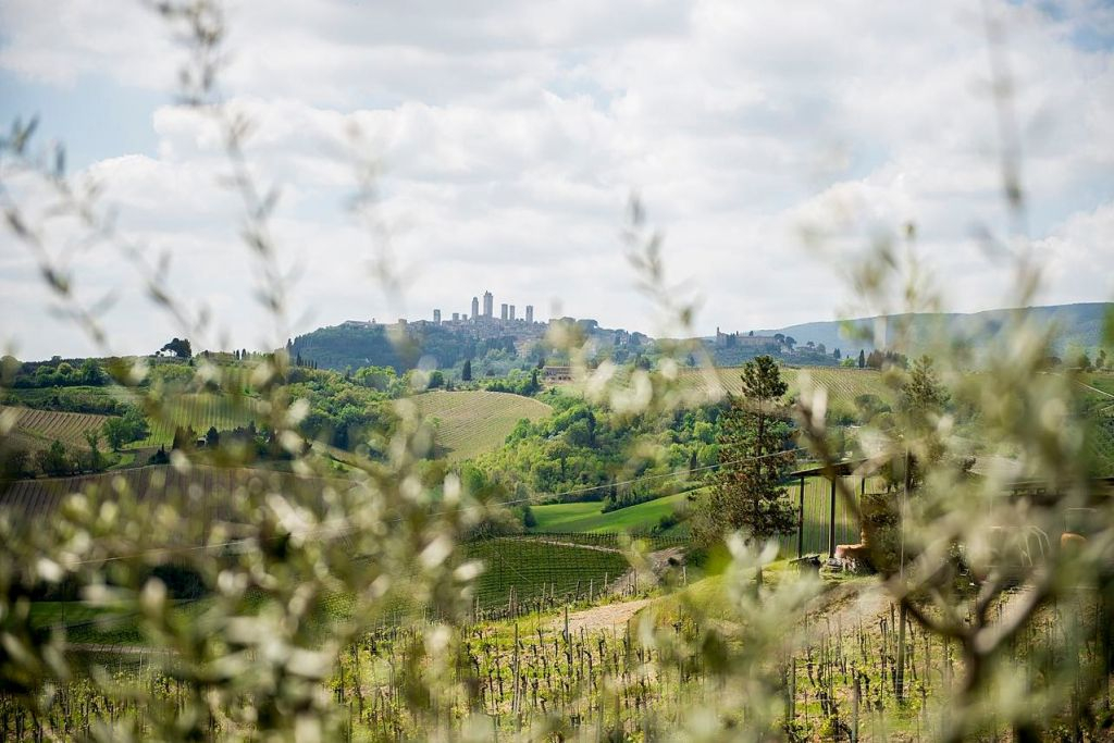 Pisa, San Gimignano & Siena: Day Trip from Florence + Siena City Tour + Lunch