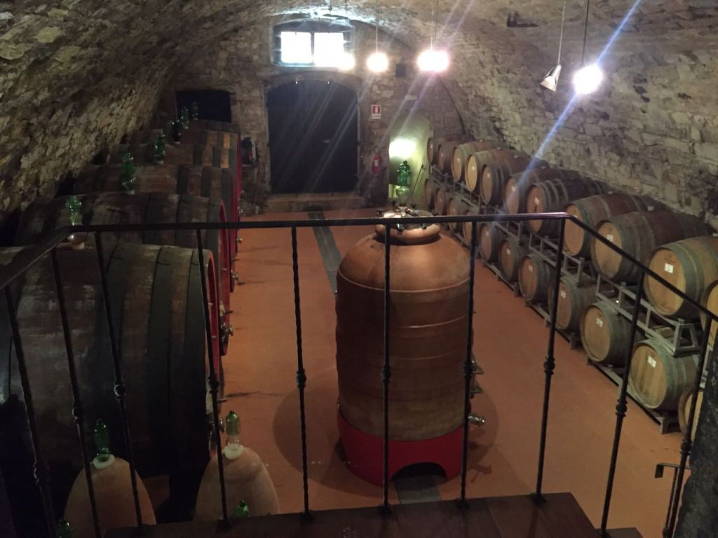 Chianti Region: Day Trip from Florence + Wine Estate Visit