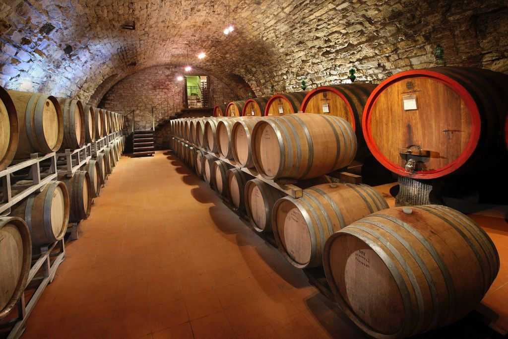 Région du Chianti : Excursion d'une journée depuis Florence + visite d'un domaine viticole