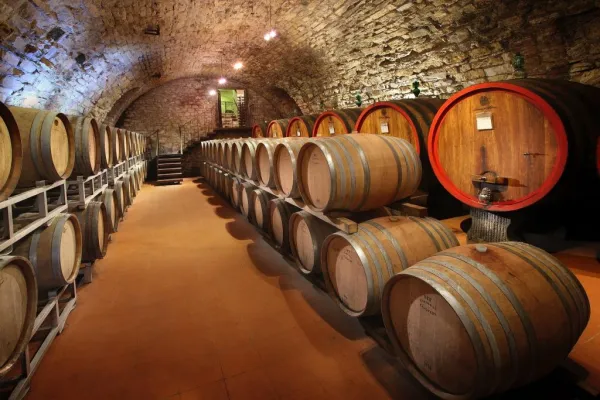 Regione del Chianti: Gita di un giorno da Firenze + visita alle aziende vinicole