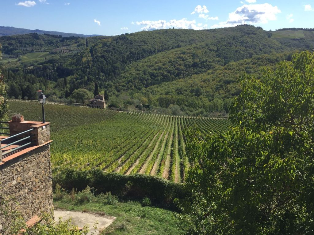 Chianti Region: Day Trip from Florence + Wine Estate Visit